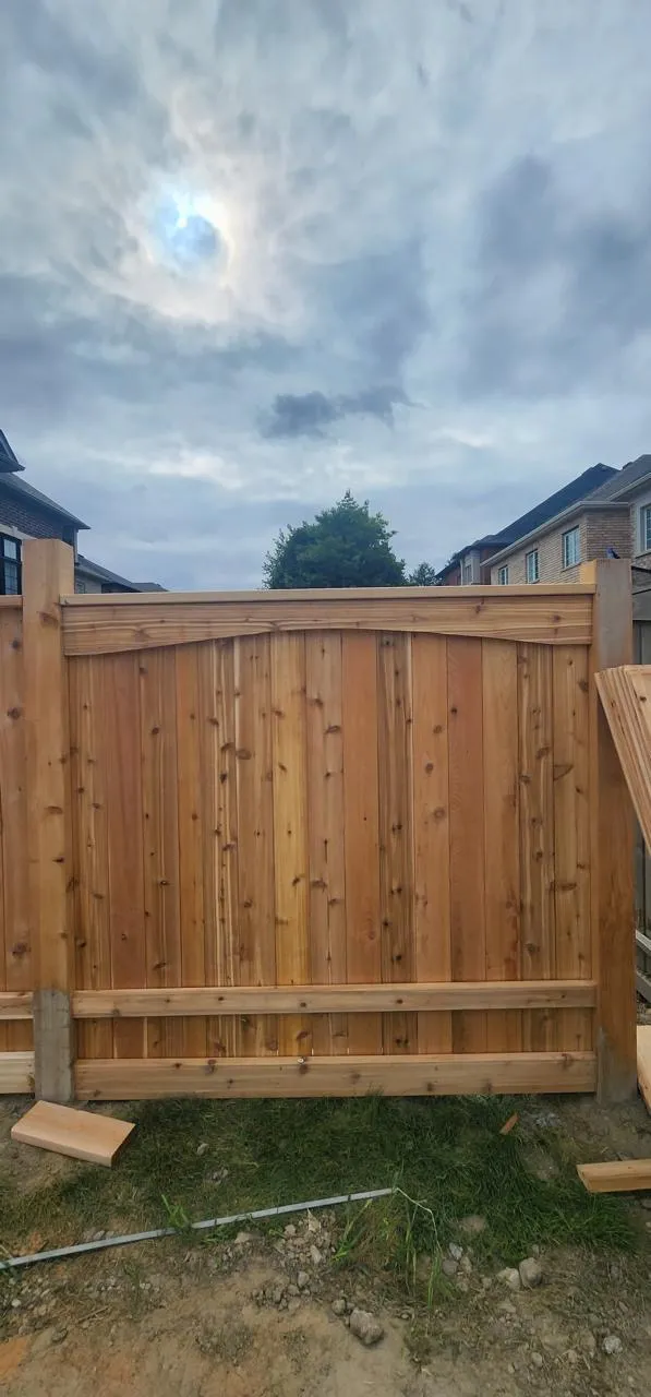 Cedar privacy fence with an arched top panel in a new-build backyard