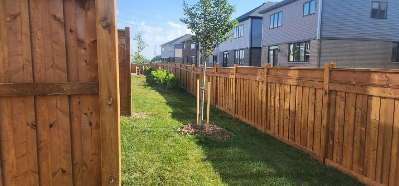 Cedar privacy fence enclosing a landscaped backyard with cedars