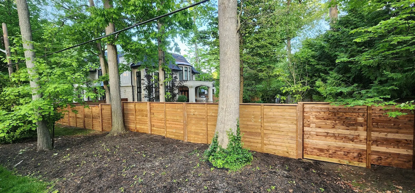 Horizontal-board cedar fence in a wooded backyard