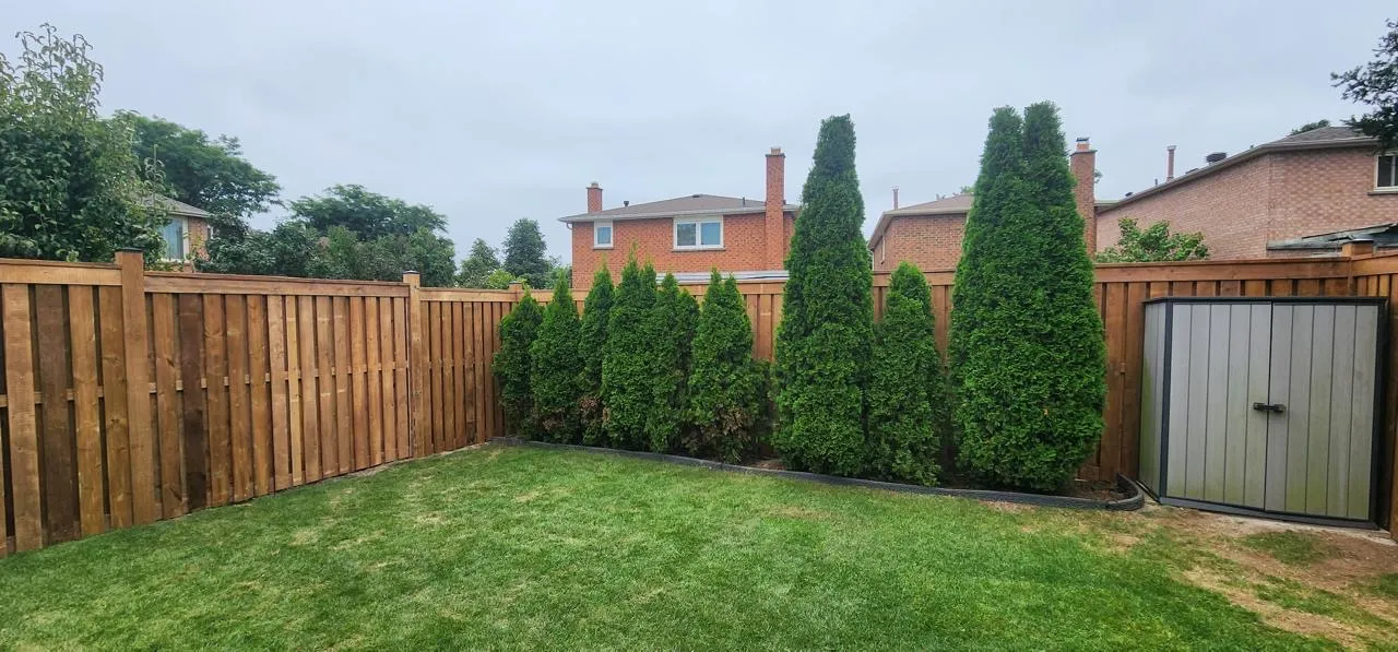 Cedar privacy fence behind new townhomes